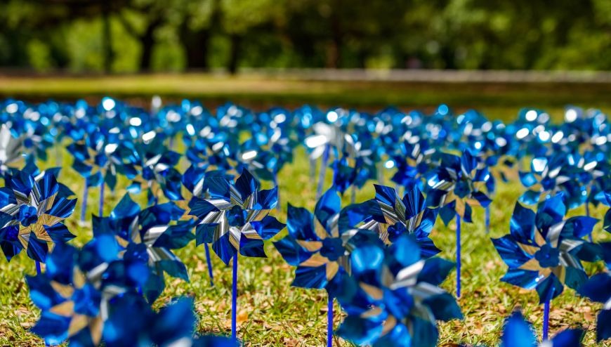 MMG Blue Pinwheels in Grass