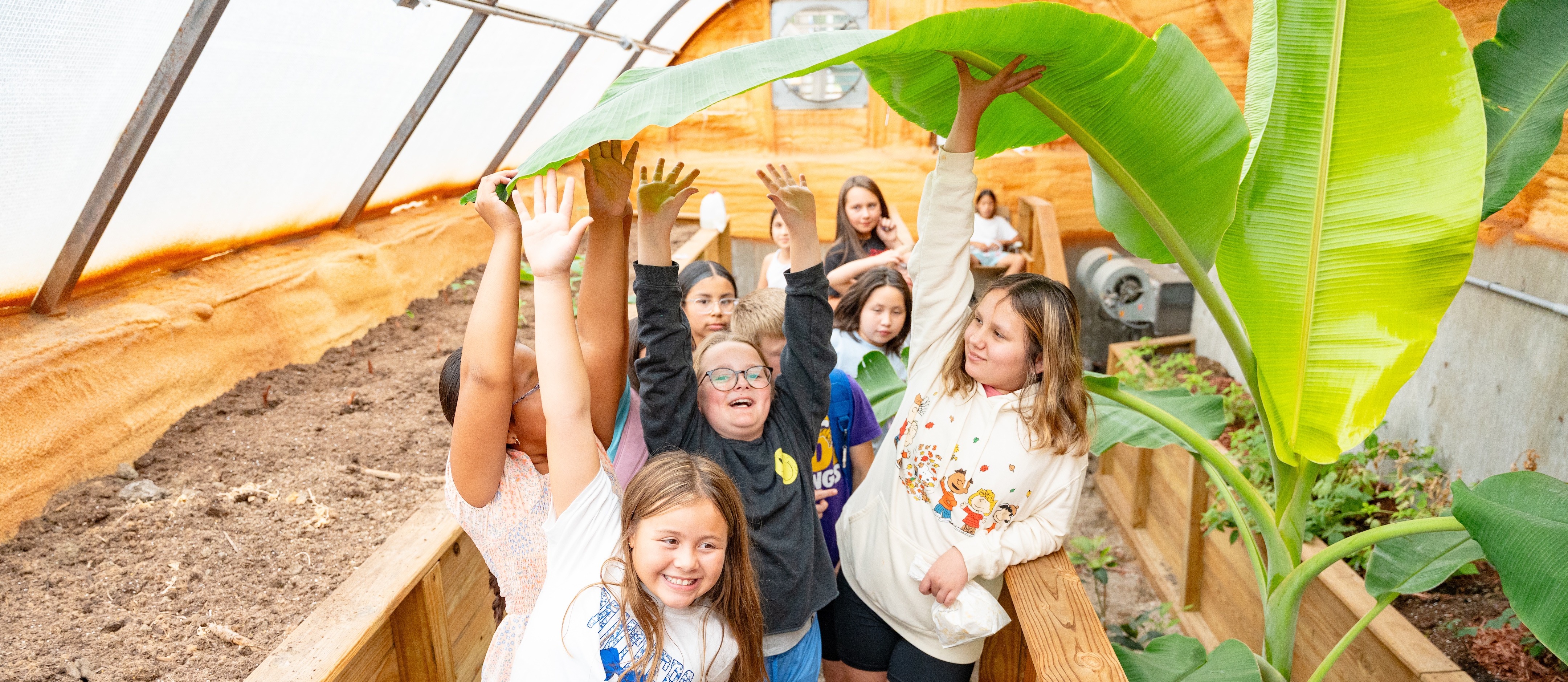 the den in the greenhouse