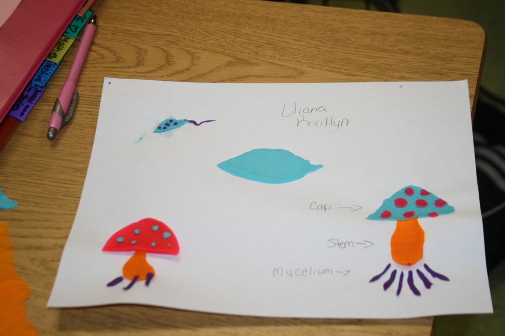 An artistic illustration on paper featuring a mushroom and a fish drawing.