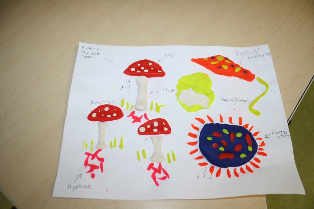 Child's drawing of mushrooms, flowers, and butterflies on paper.