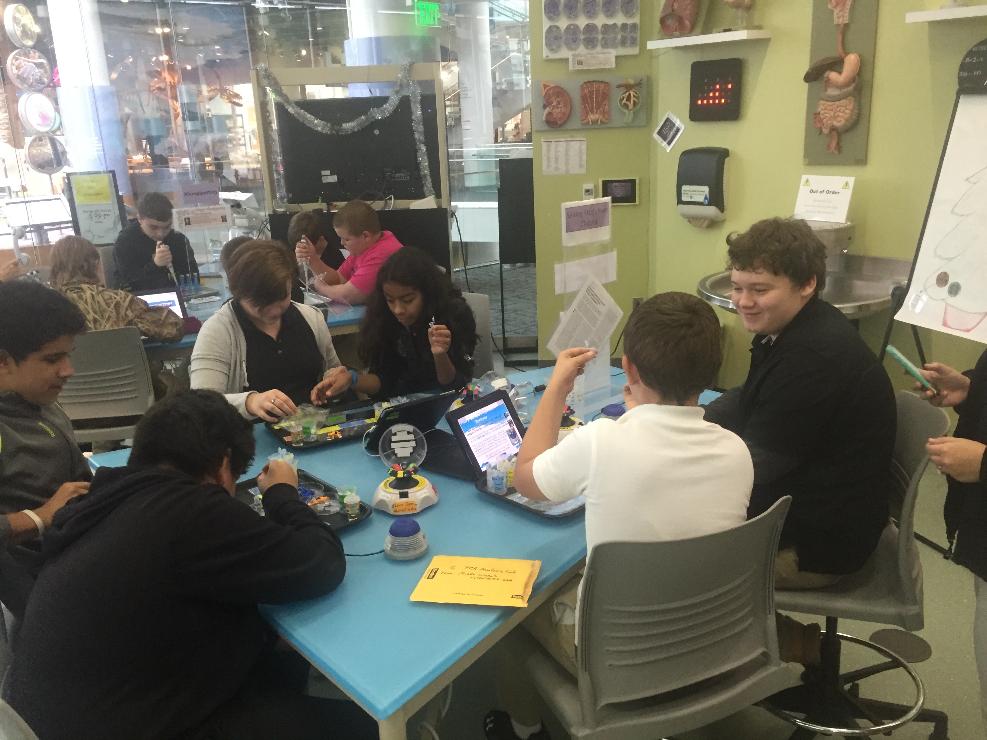 A diverse group of individuals sitting around a table with laptops, engaged in a meeting or collaboration session.