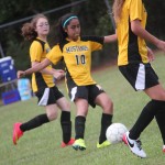 Girls’ Soccer Game vs. WTS-Sept. 15, 2016