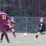 young boys playing soccer on a field.