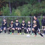 young boys playing soccer on a field.