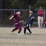 young boys playing soccer on a field.