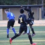 young boys playing soccer on a field.