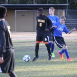 young boys playing soccer on a field.