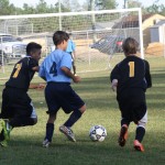 young boys playing soccer on a field.