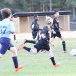 young boys playing soccer on a field.