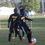 young boys playing soccer on a field.