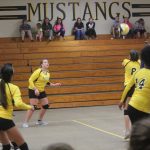 Volleyball-Nov. 6, 2017 Game