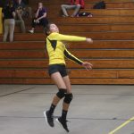 Volleyball-Nov. 6, 2017 Game