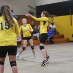 Volleyball-Nov. 6, 2017 Game