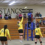 Volleyball-Nov. 6, 2017 Game