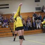 Volleyball-Nov. 6, 2017 Game