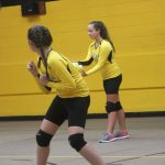 Volleyball-Nov. 6, 2017 Game