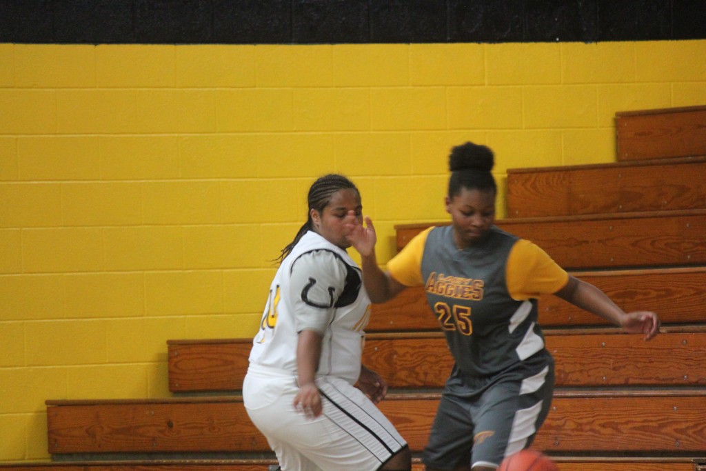 Two women playing basketball on a court, dribbling and shooting hoops under the bright sun.