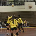 Volleyball-Nov. 2, 2017 Game