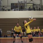 Volleyball-Nov. 2, 2017 Game