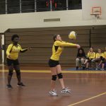 Volleyball-Nov. 2, 2017 Game