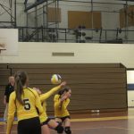 Volleyball-Nov. 2, 2017 Game