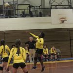 Volleyball-Nov. 2, 2017 Game