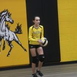 Volleyball Game at NMS-Oct. 30, 2017 