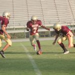 A football player running with the ball on the field