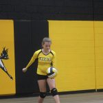 Volleyball game at NMS-Oct. 16, 2017