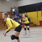 Volleyball Tournament 2016