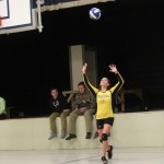 Volleyball–11/2/15