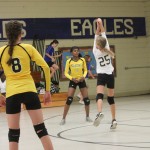 Volleyball–11/2/15