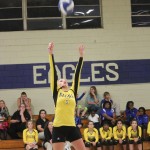 Volleyball–11/2/15