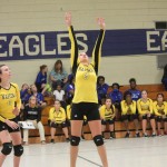 Volleyball–11/2/15