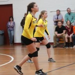 Volleyball–11/19/15