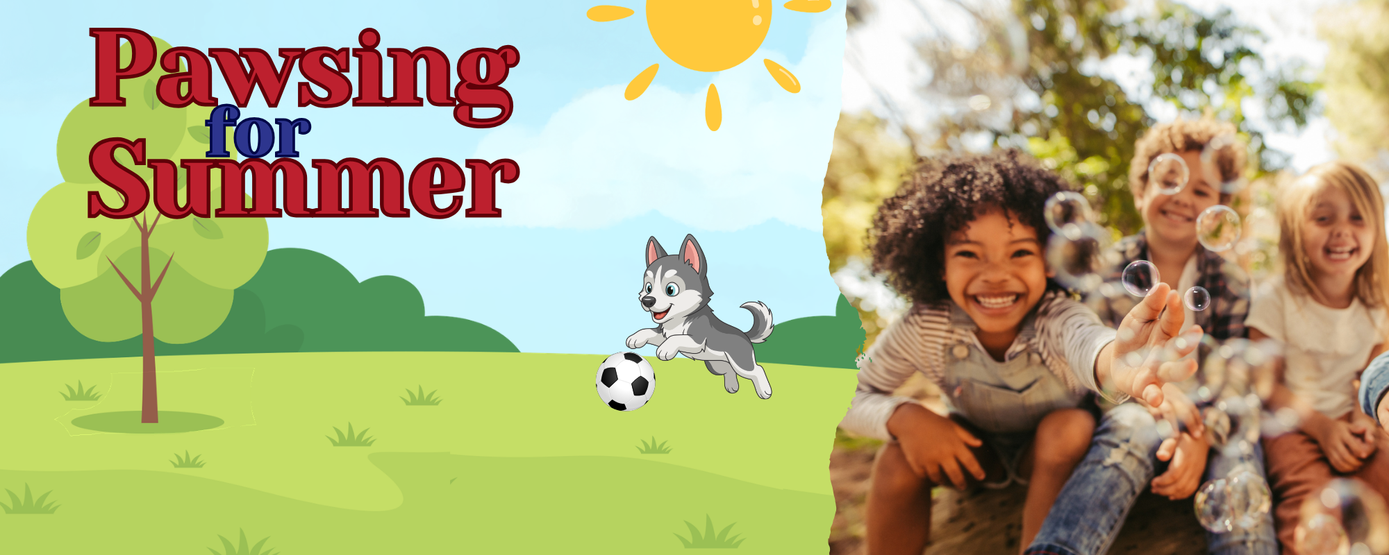 "Pawsing for Summer"  School office is closed for the summer.