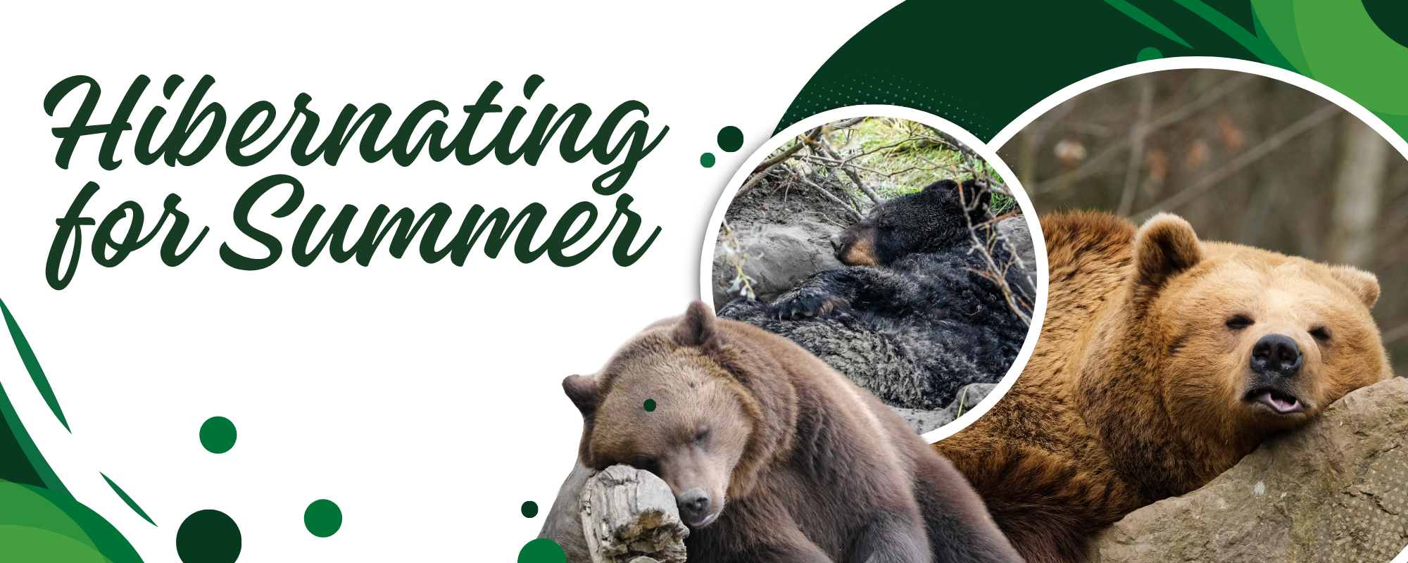 "Hibernating for summer"  School office is closed for the summer.