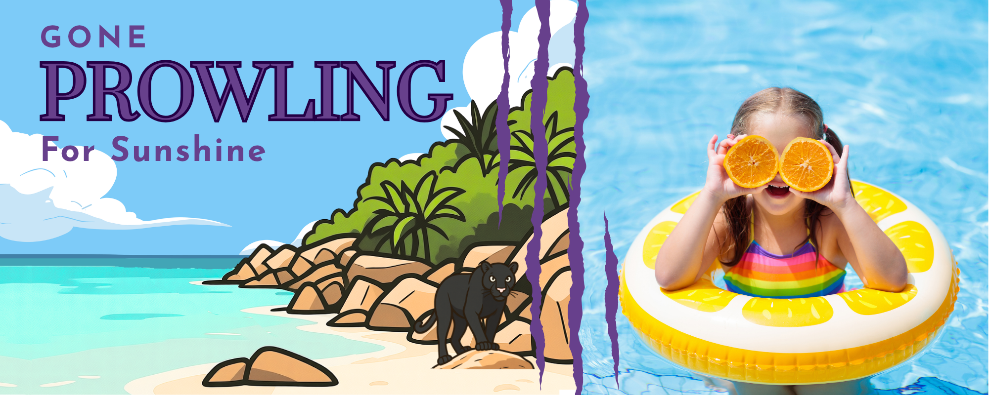"Prowling for sunshine"  School office is closed for the summer.