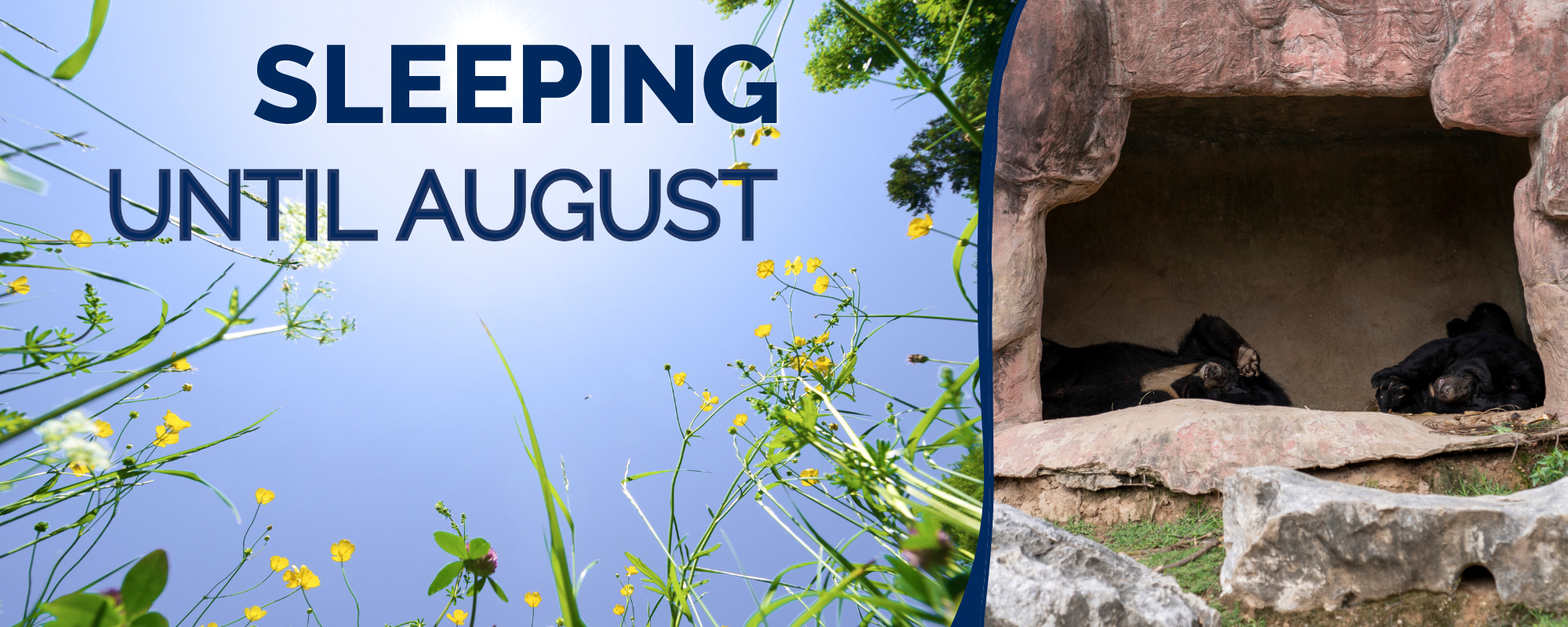 "Sleeping until August"  School office is closed for the summer.