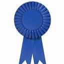 A blue ribbon award stands on a white background. The ribbon has a circular center and ruffled edges.