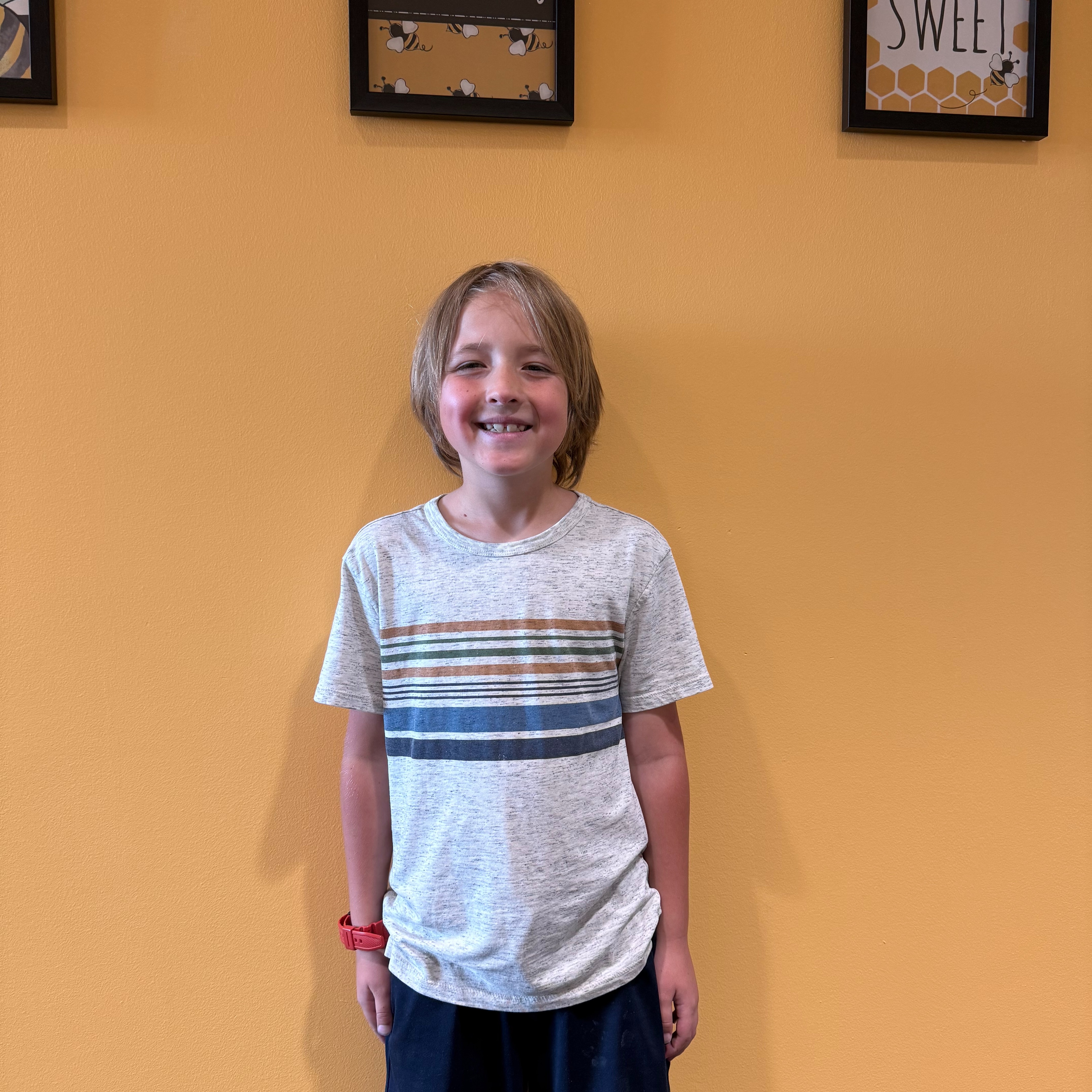Child standing in front of yellow wall with framed art. Smiling boy wears white T-shirt with blue and gray stripes, and navy blue shorts.
