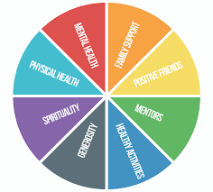 Sources of Strength Pie Chart