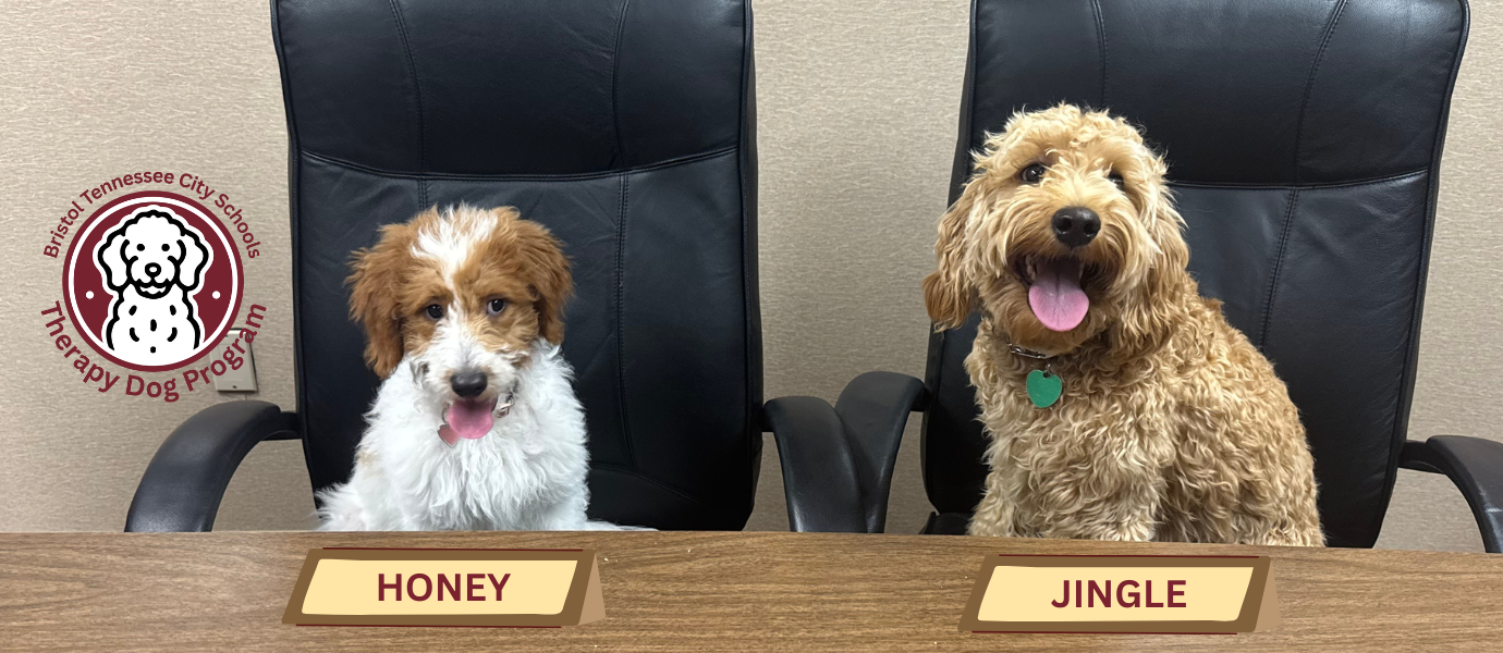 Jingle and Honey-Therapy Dogs-sitting in chairs with nameplates and Bristol Tennessee City Schools Therapy Dog Program logo