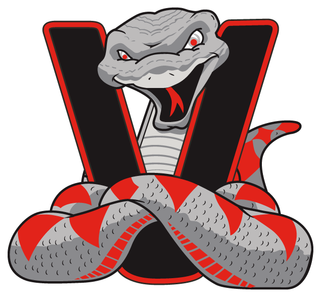 Val Vista Viper Mascot