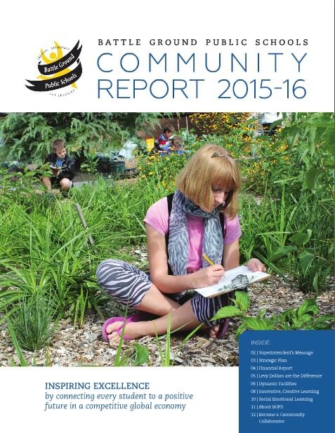 2015-16 report image