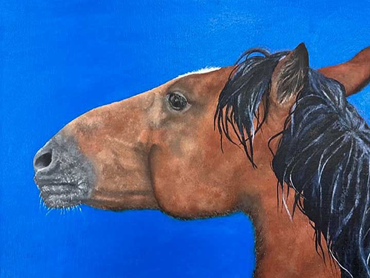 Paintings on the 65th annual district art show