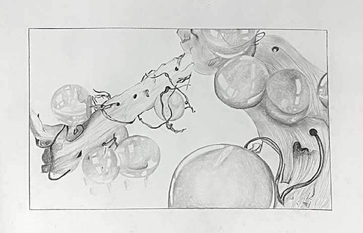 Paintings on the 65th annual district art show