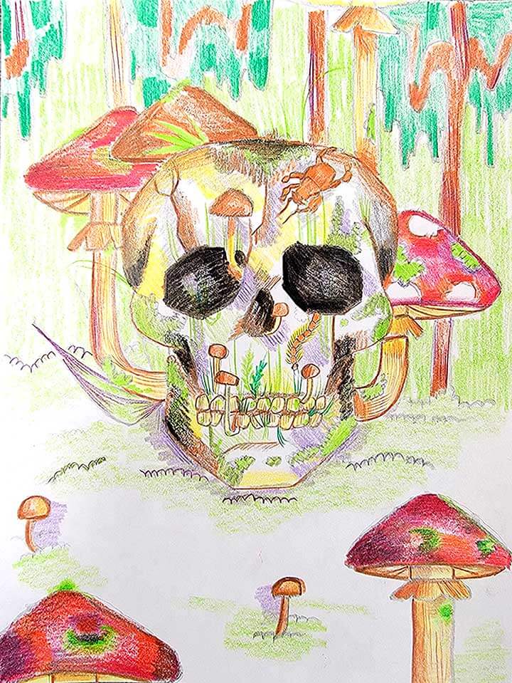 Student paintings for the 65th annual district art show