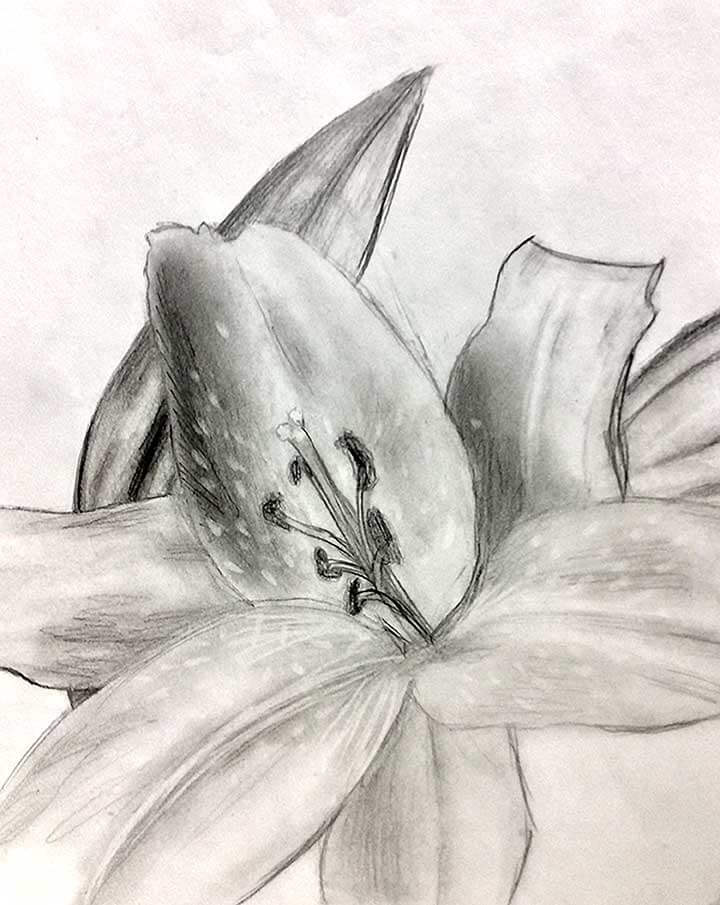 Student paintings for the 65th annual district art show