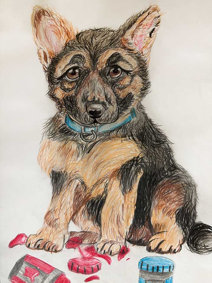 Paws and Paint, Viteliya Akhmedova, 6th grade